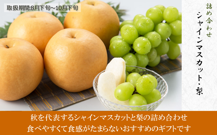 詰め合わせ（シャインマスカット・梨） ギフト・贈答用高級果物専門店「肥後庵」